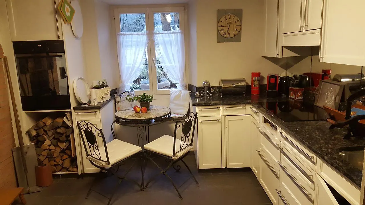 Airport Zürich Elwiras B&B Lufingen 0*,  Schweiz